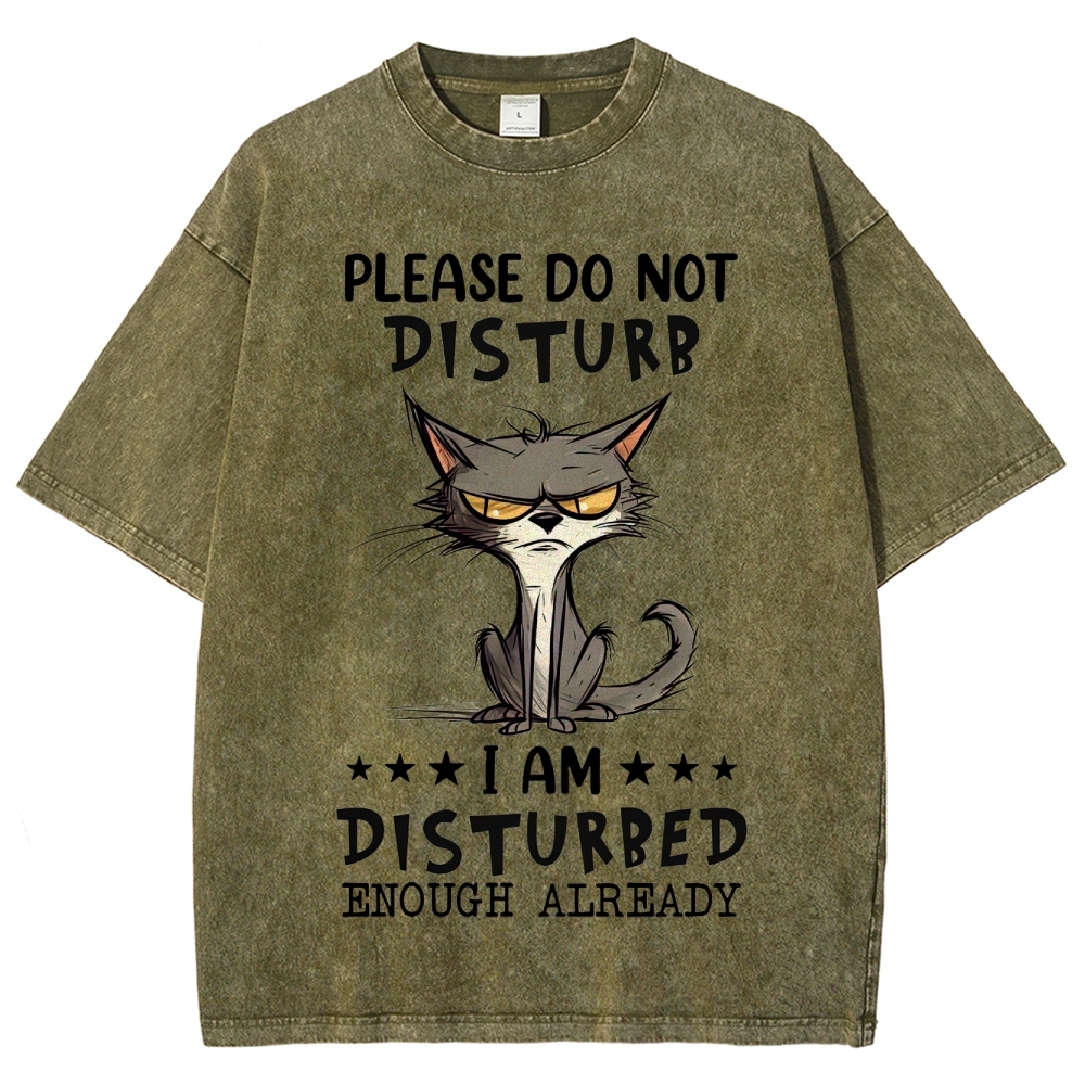 "Do Not Disturb" Grumpy Cat Washed T-Shirt