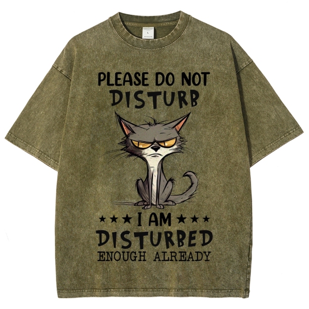 "Do Not Disturb" Grumpy Cat Washed T-Shirt