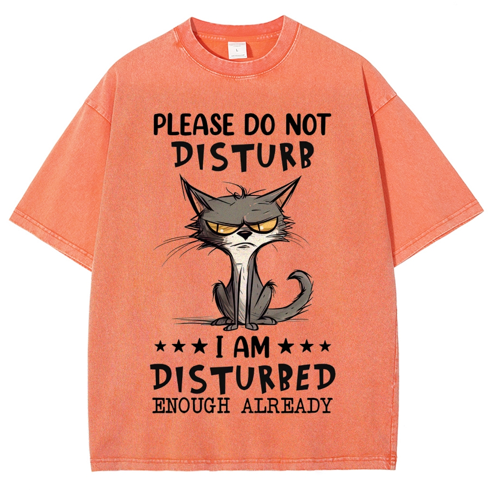 "Do Not Disturb" Grumpy Cat Washed T-Shirt