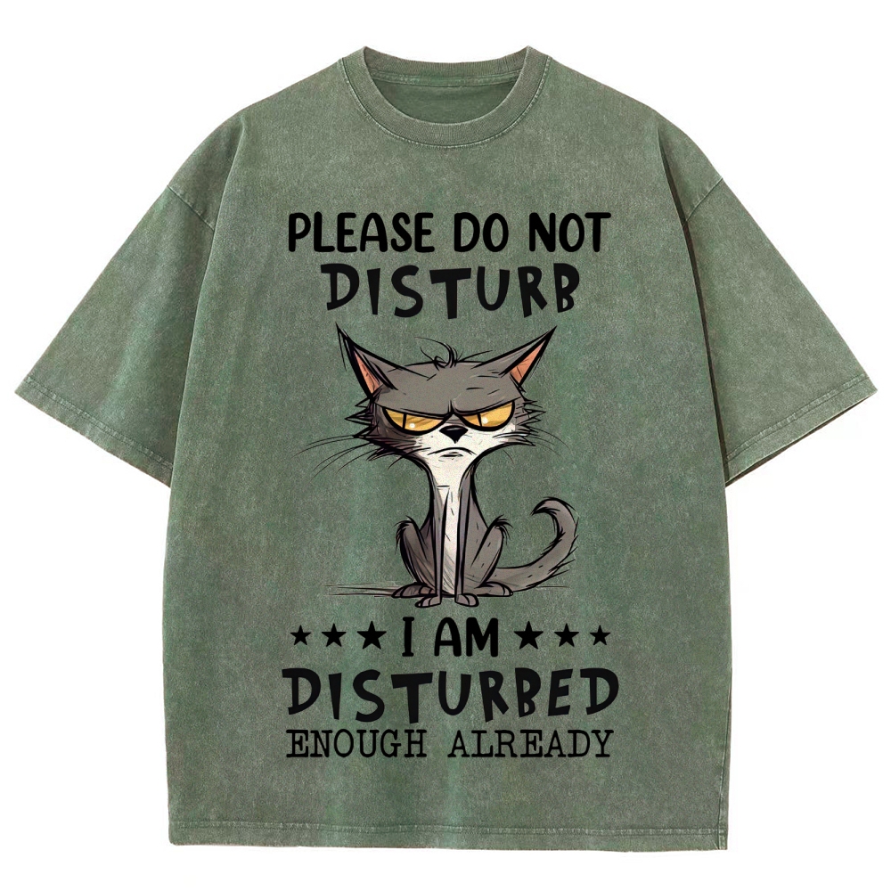 "Do Not Disturb" Grumpy Cat Washed T-Shirt