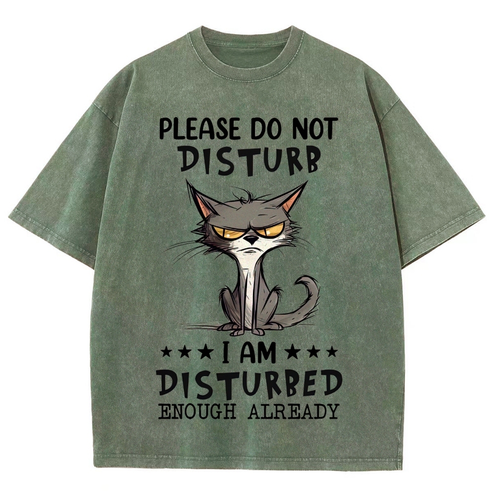 "Do Not Disturb" Grumpy Cat Washed T-Shirt