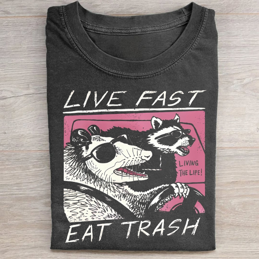 Funny Raccoon & Possum Car Graphic Washed Tee 