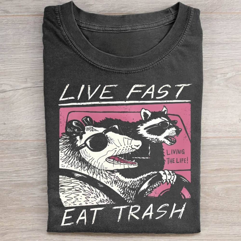 Funny Raccoon & Possum Car Graphic Washed Tee