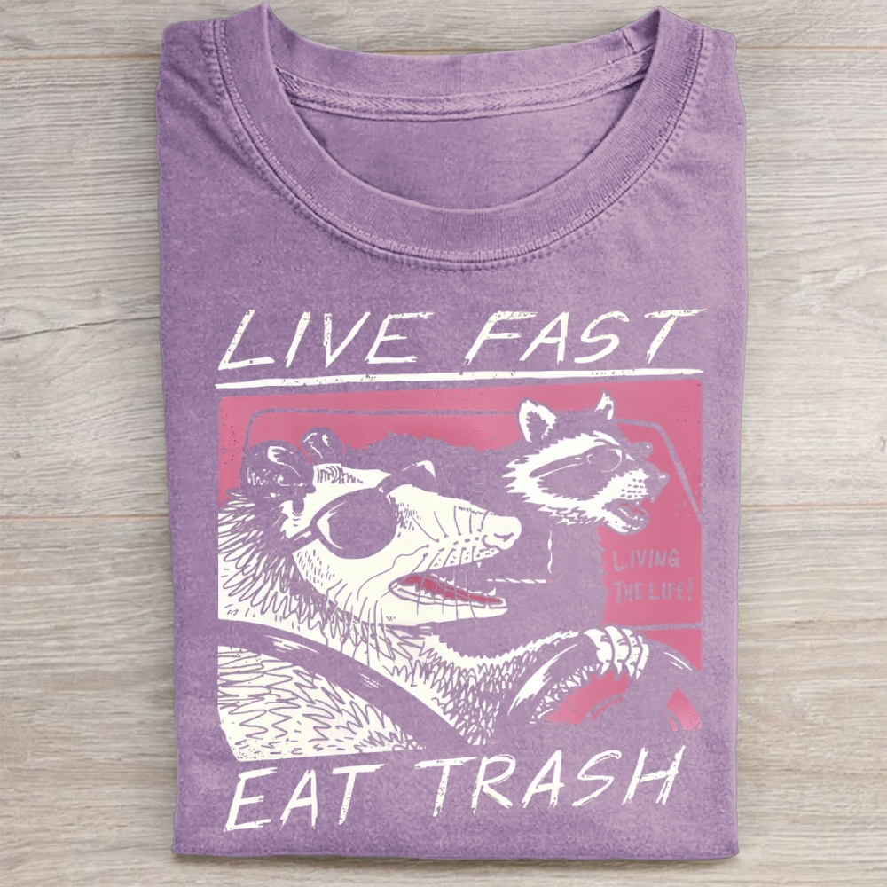 Funny Raccoon & Possum Car Graphic Washed Tee 