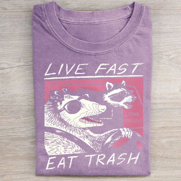 Funny Raccoon & Possum Car Graphic Washed Tee 