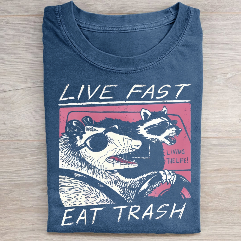 Funny Raccoon & Possum Car Graphic Washed Tee 