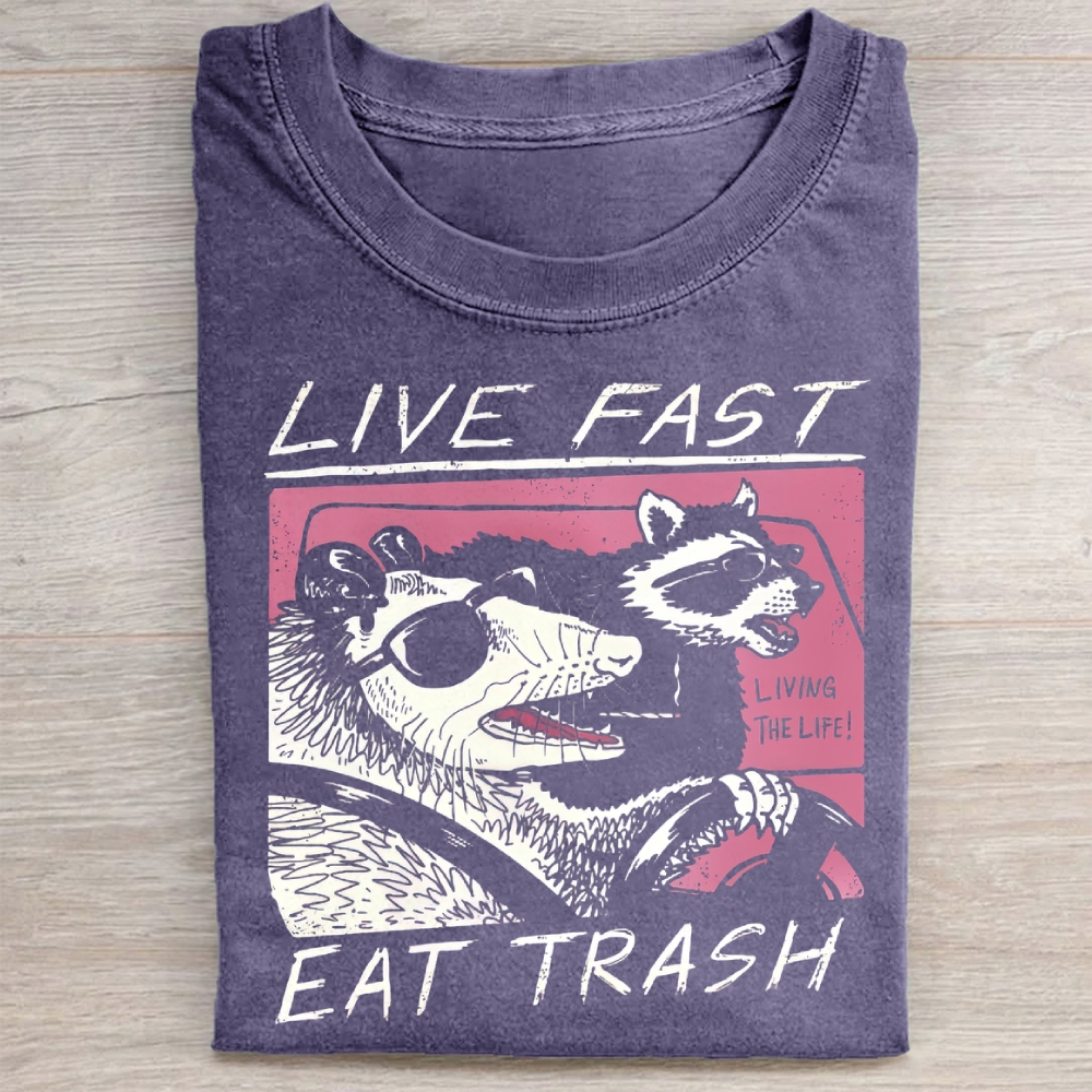 Funny Raccoon & Possum Car Graphic Washed Tee 