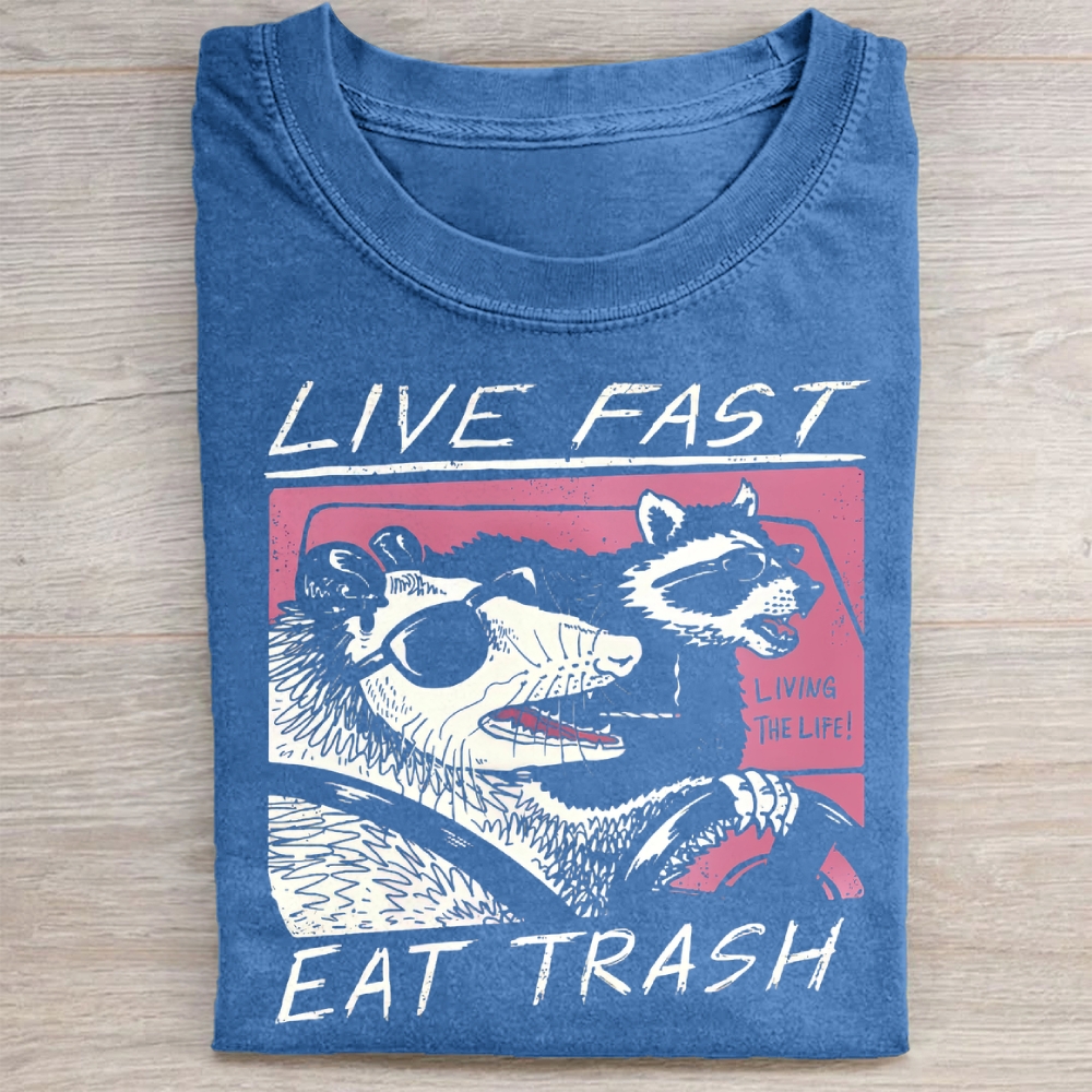 Funny Raccoon & Possum Car Graphic Washed Tee 
