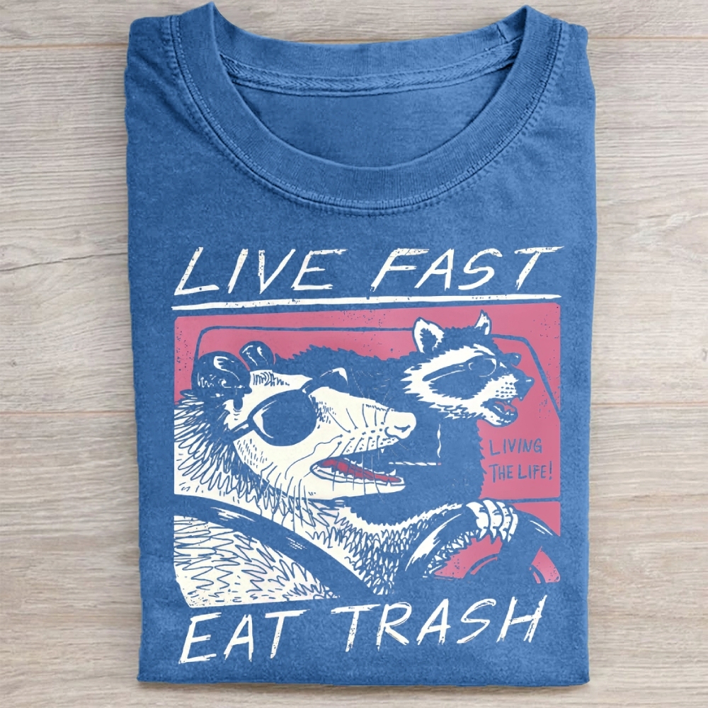 Funny Raccoon & Possum Car Graphic Washed Tee 