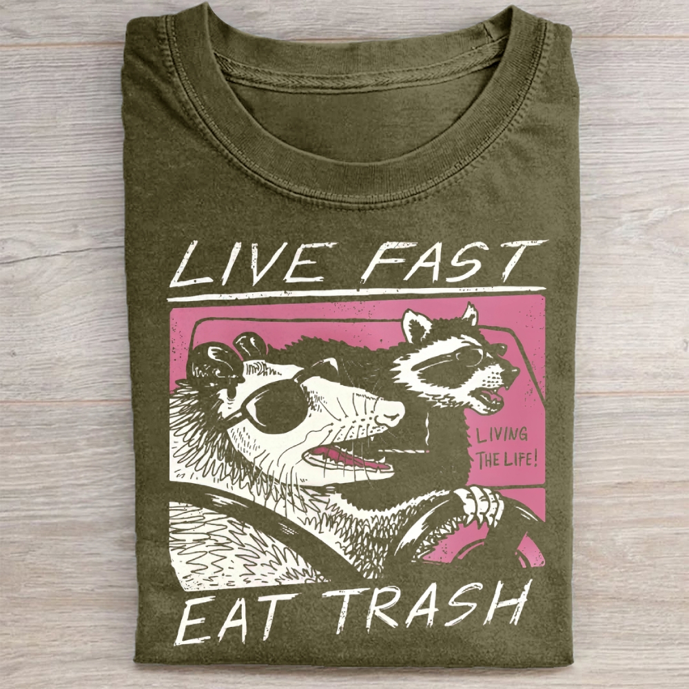 Funny Raccoon & Possum Car Graphic Washed Tee 