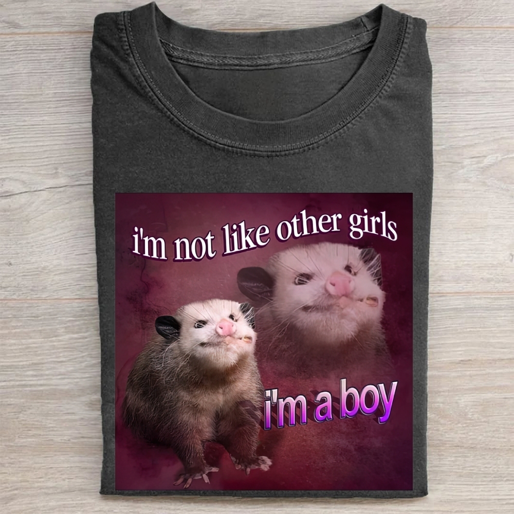 "I'm a Boy" Possum Meme Vintage Washed Tee