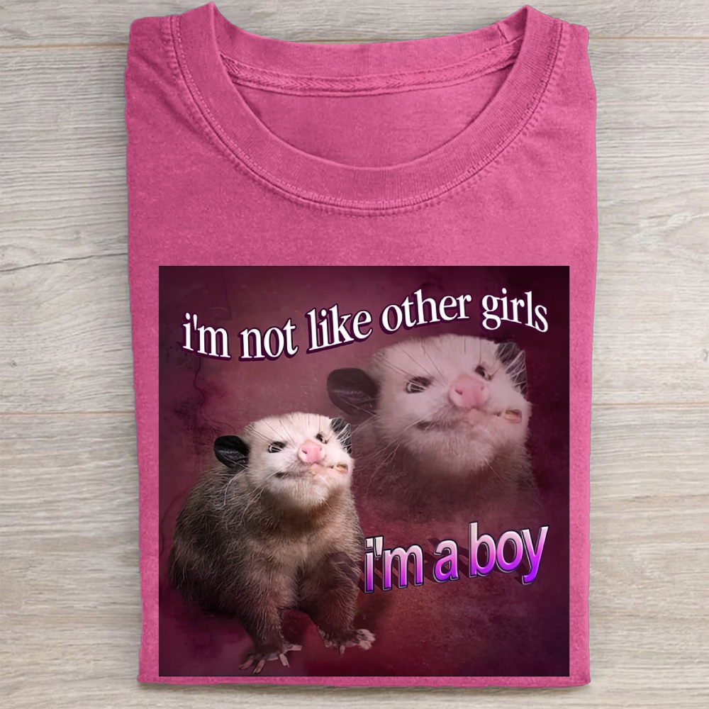 "I'm a Boy" Possum Meme Vintage Washed Tee