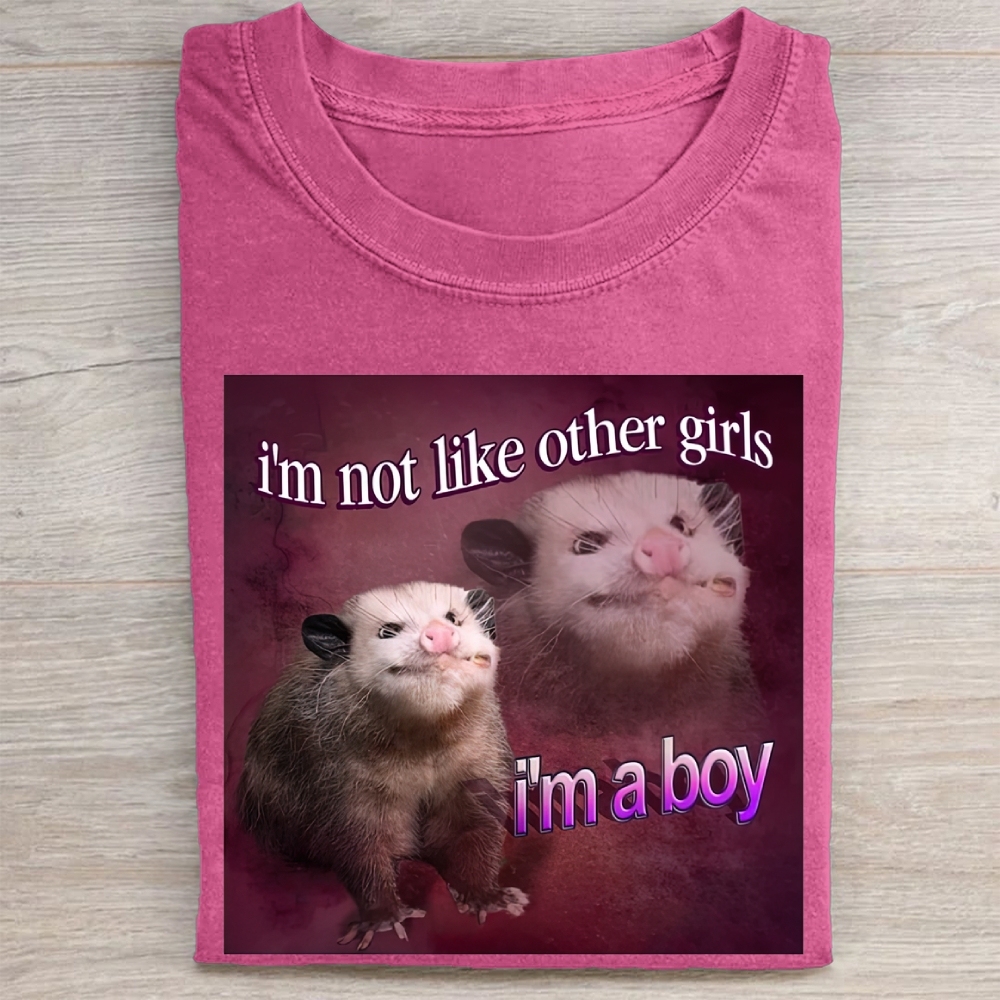 "I'm a Boy" Possum Meme Vintage Washed Tee