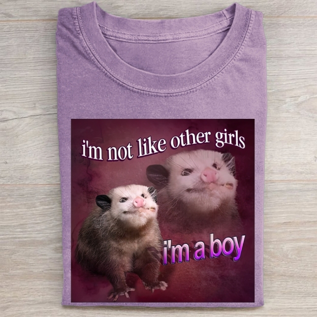 "I'm a Boy" Possum Meme Vintage Washed Tee