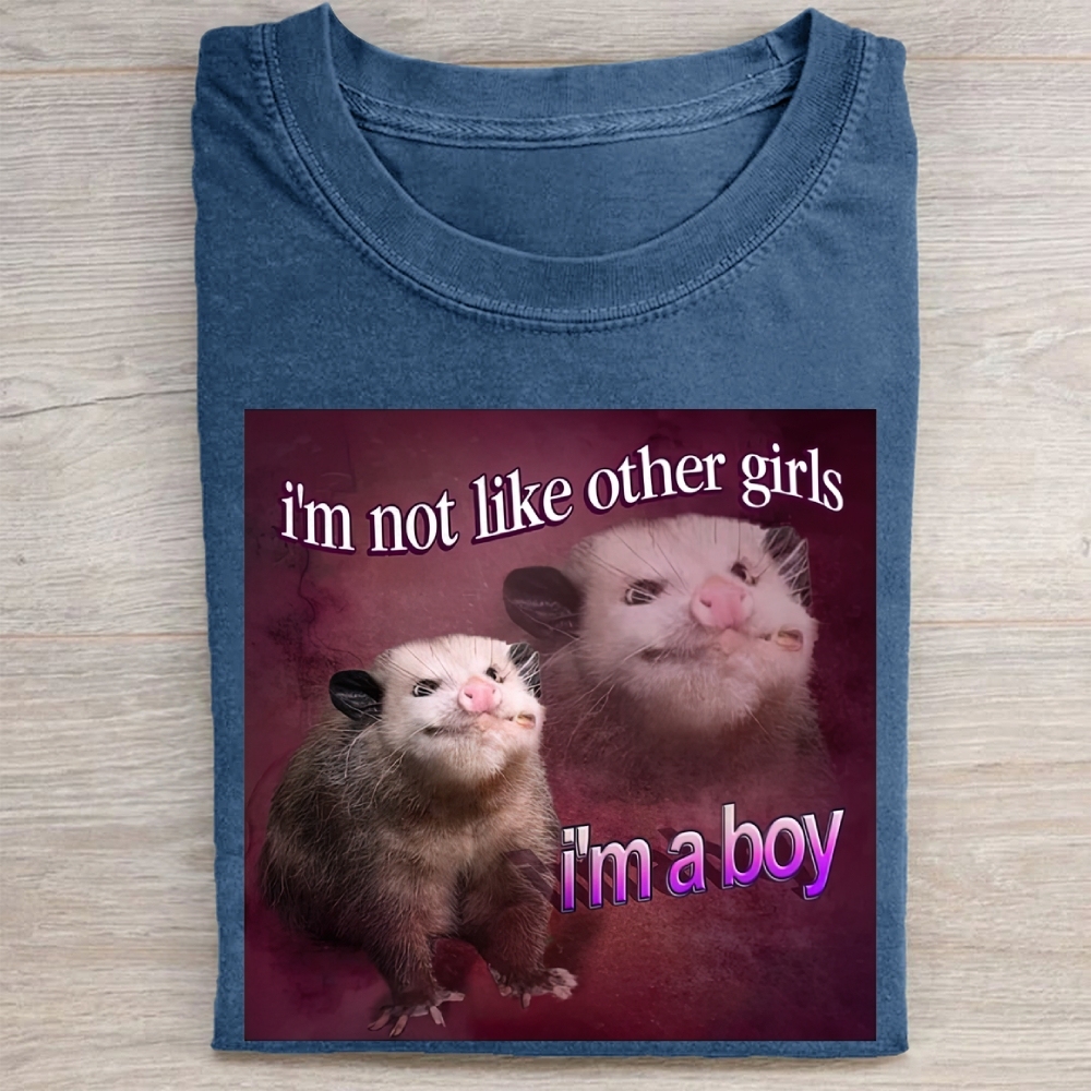 "I'm a Boy" Possum Meme Vintage Washed Tee