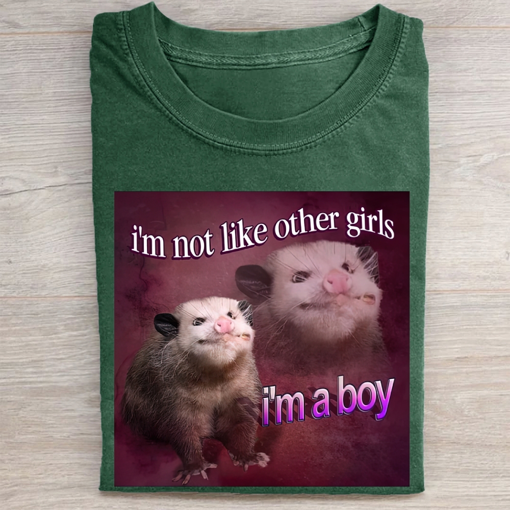 "I'm a Boy" Possum Meme Vintage Washed Tee