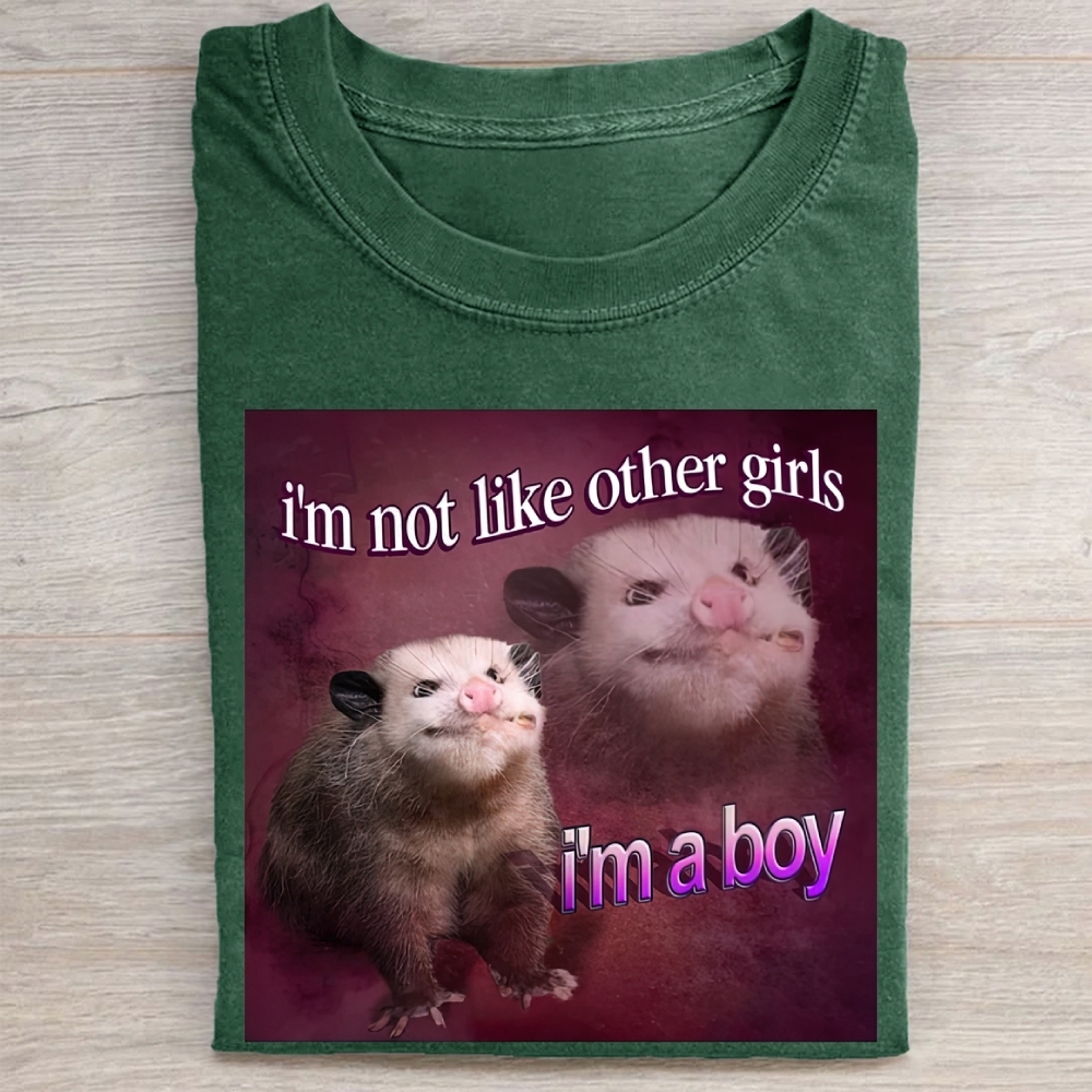 "I'm a Boy" Possum Meme Vintage Washed Tee