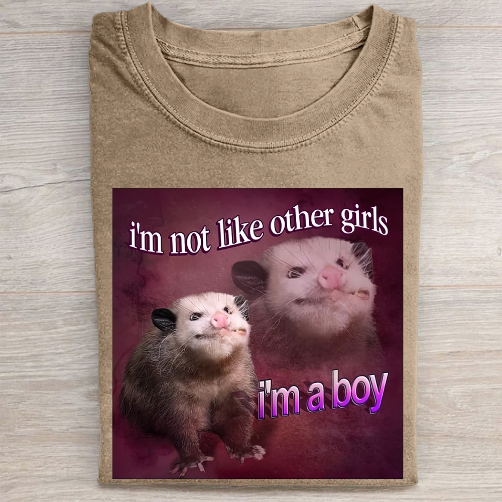 "I'm a Boy" Possum Meme Vintage Washed Tee