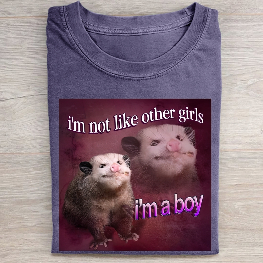 "I'm a Boy" Possum Meme Vintage Washed Tee