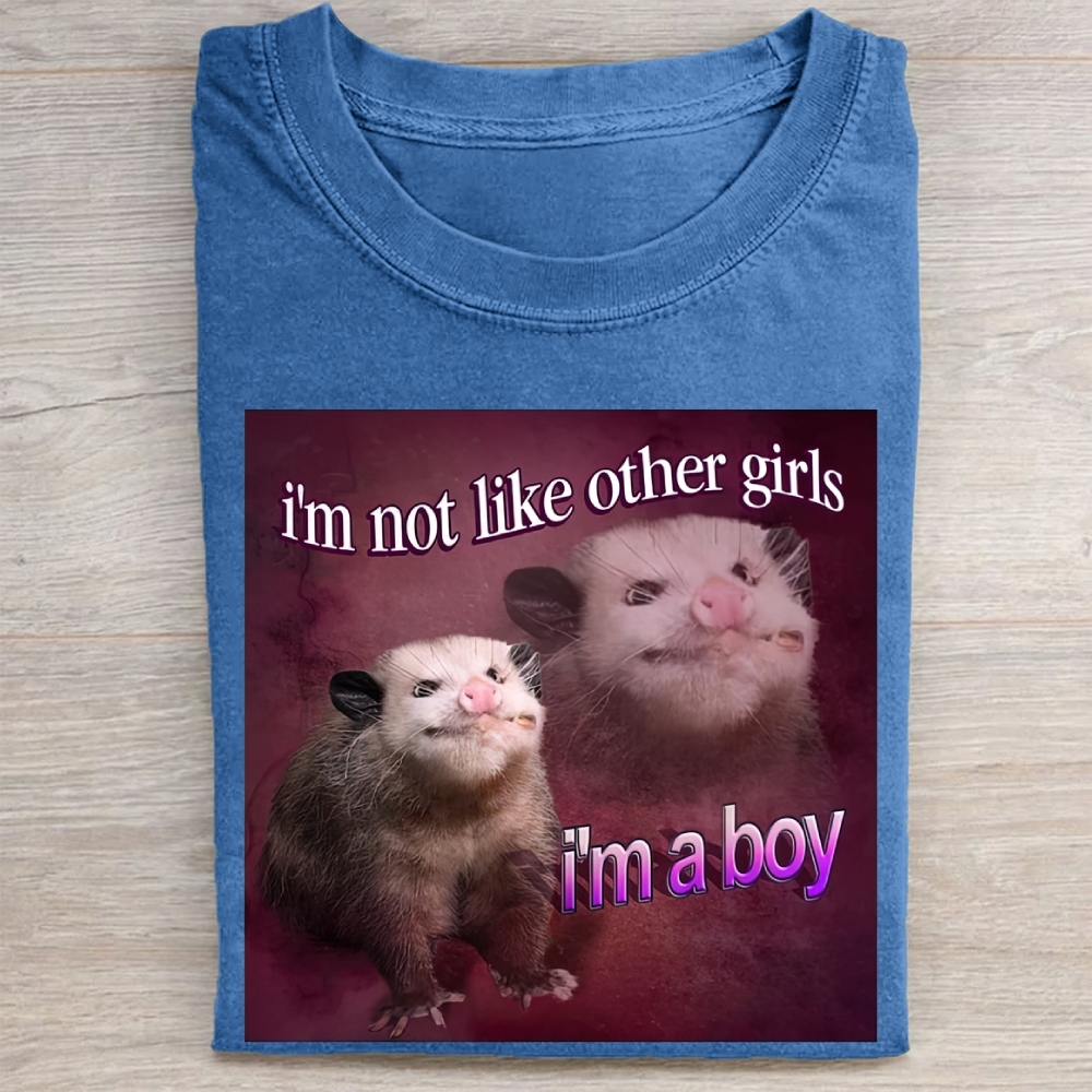 "I'm a Boy" Possum Meme Vintage Washed Tee