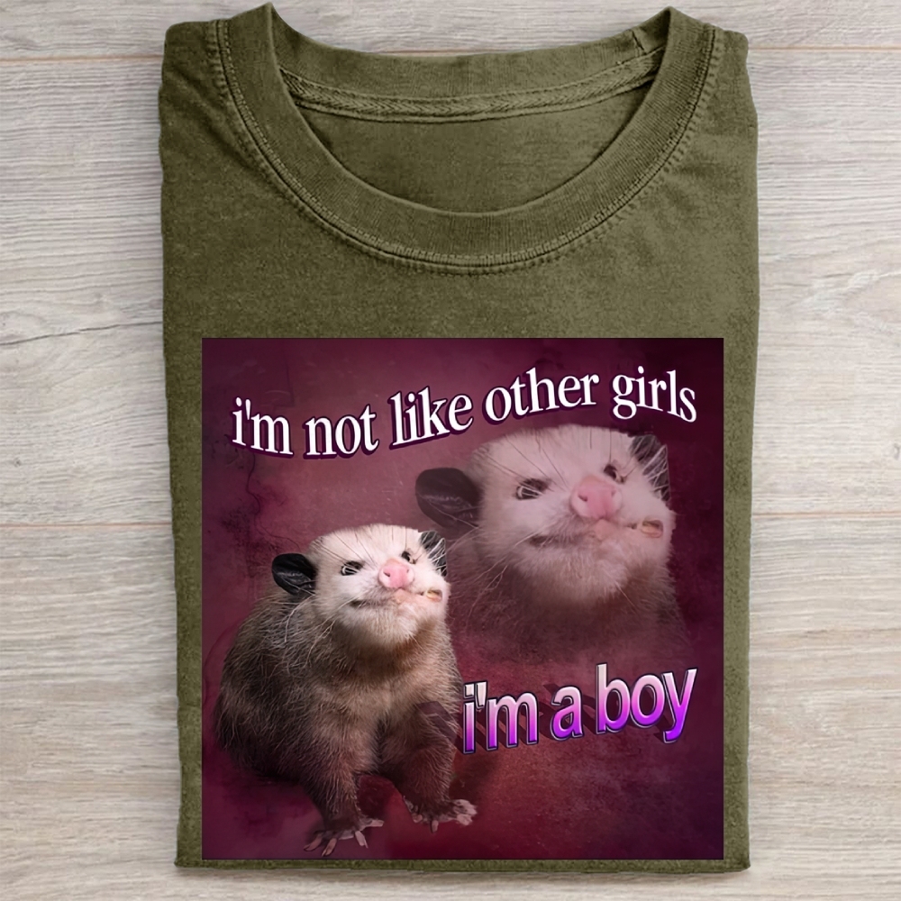 "I'm a Boy" Possum Meme Vintage Washed Tee