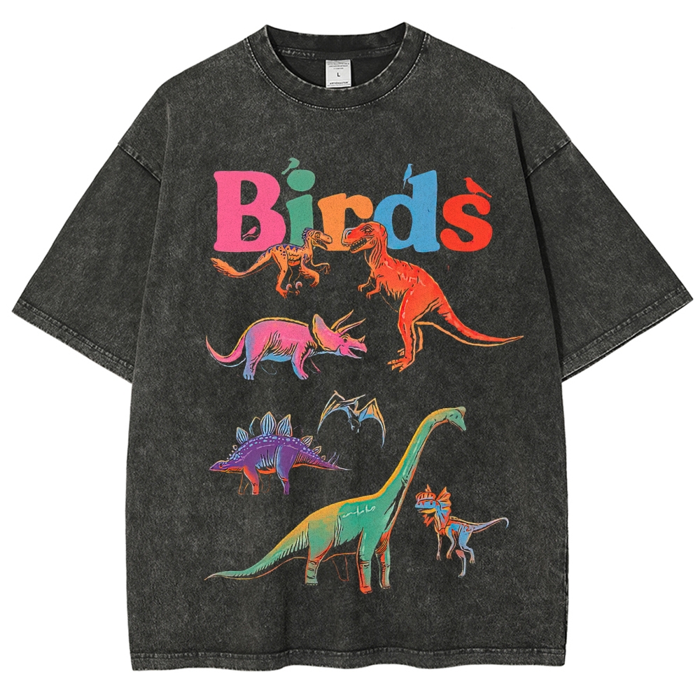 "Birds" Dinosaur Funny Washed T-Shirt