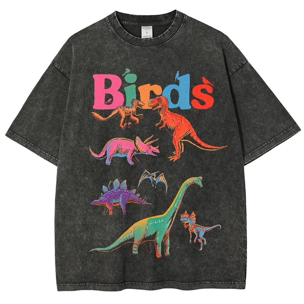 "Birds" Dinosaur Funny Washed T-Shirt