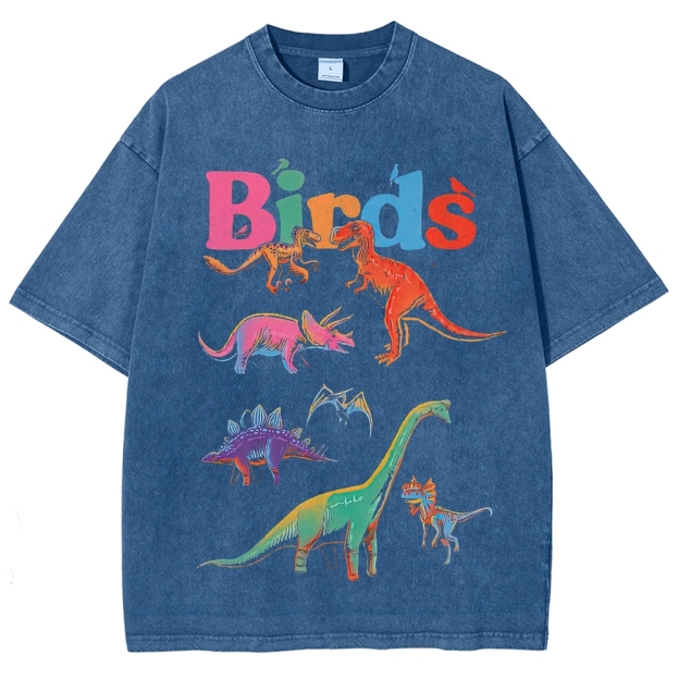 "Birds" Dinosaur Funny Washed T-Shirt
