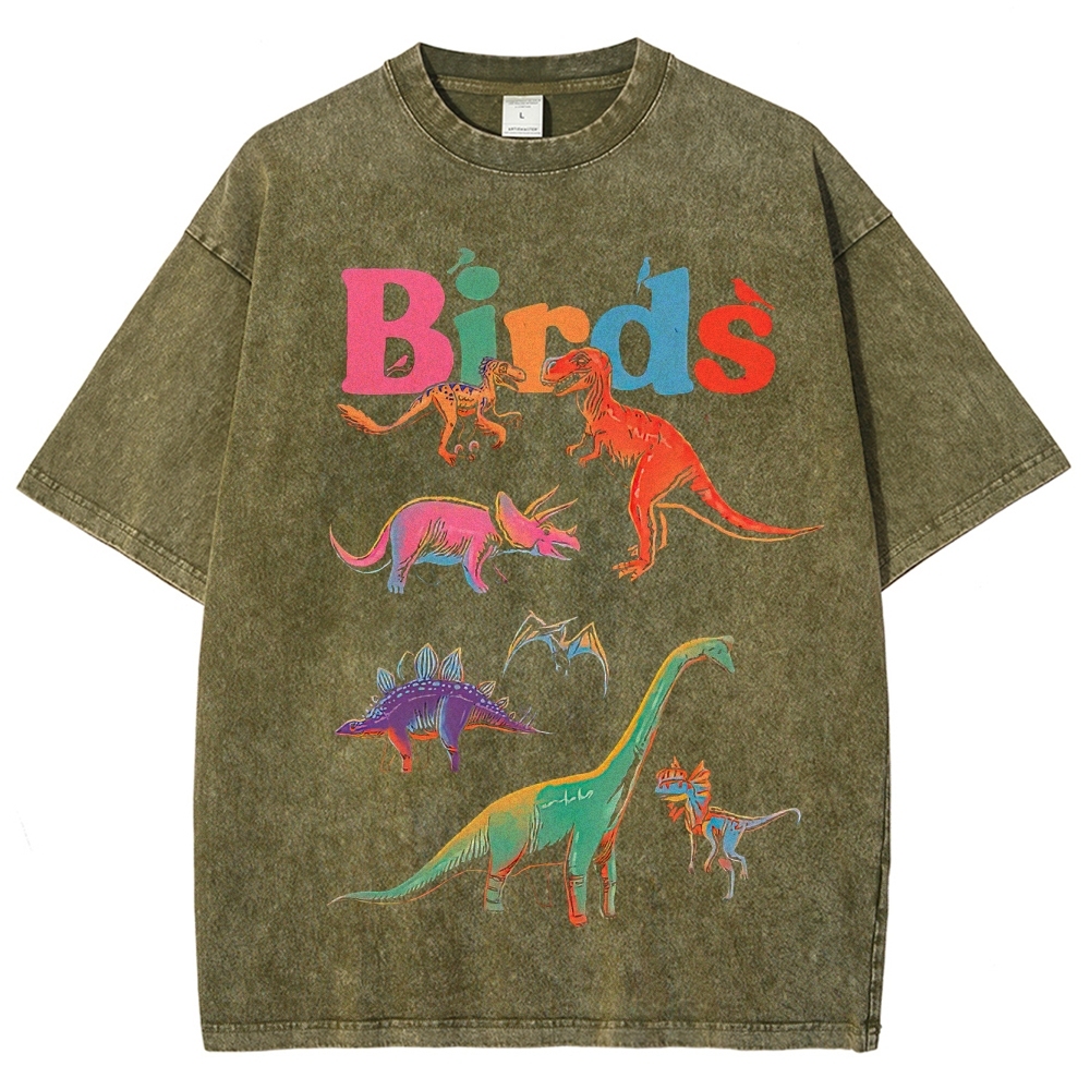 "Birds" Dinosaur Funny Washed T-Shirt