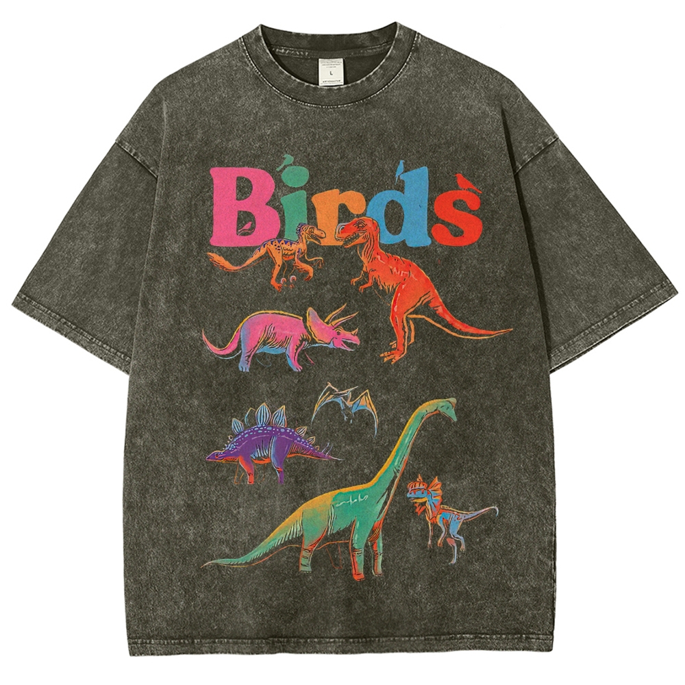 "Birds" Dinosaur Funny Washed T-Shirt