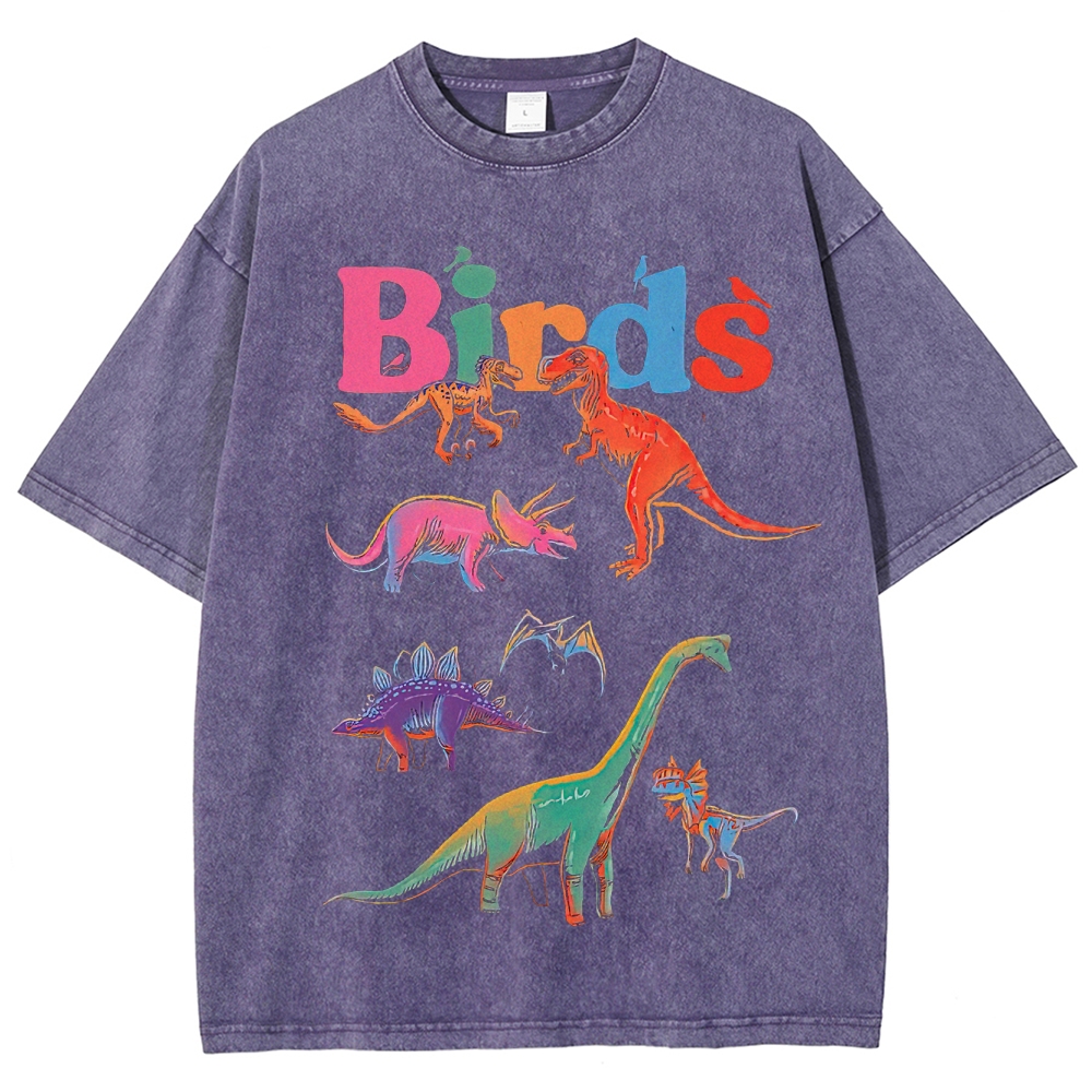 "Birds" Dinosaur Funny Washed T-Shirt
