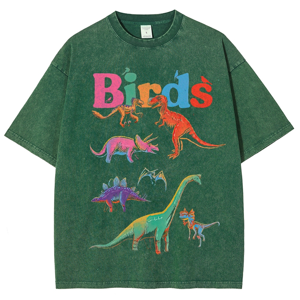 "Birds" Dinosaur Funny Washed T-Shirt