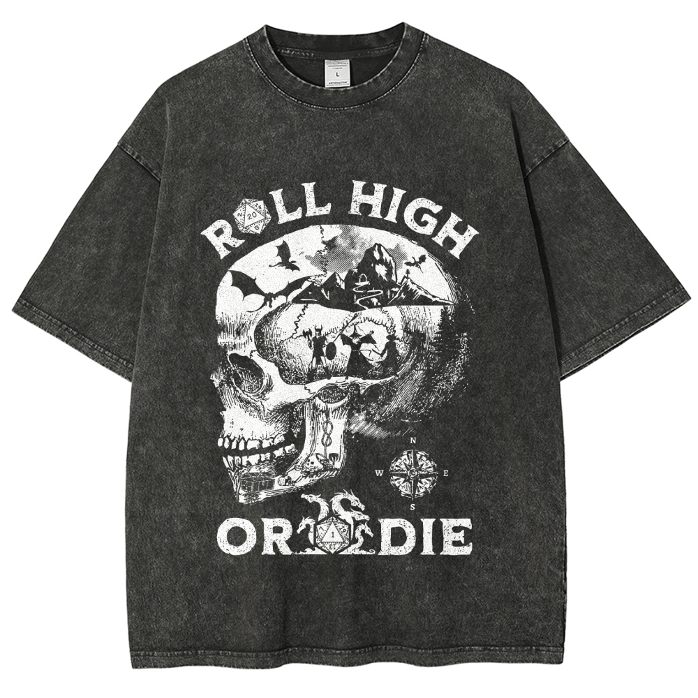 Vintage "Roll High or Die" D&D Washed T-Shirt
