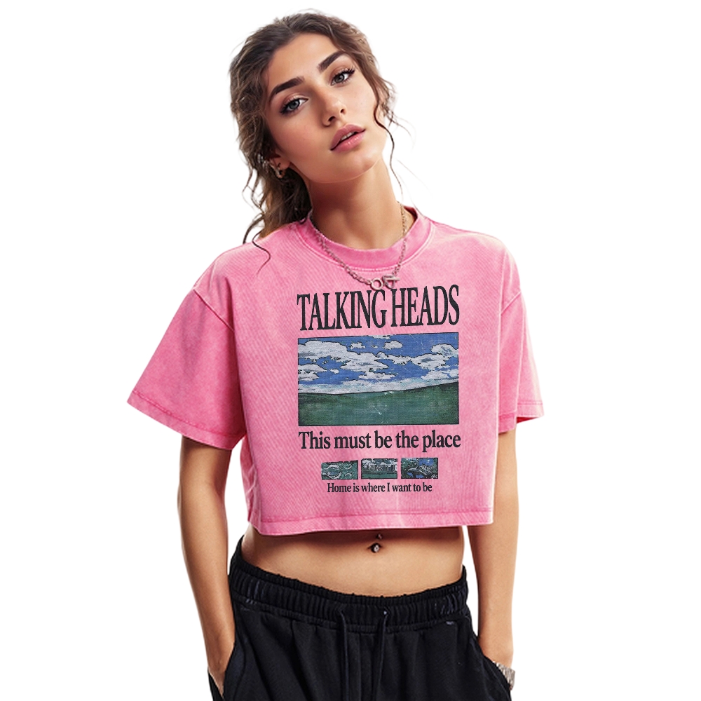   Music-Inspired Washed Cropped T-Shirt 