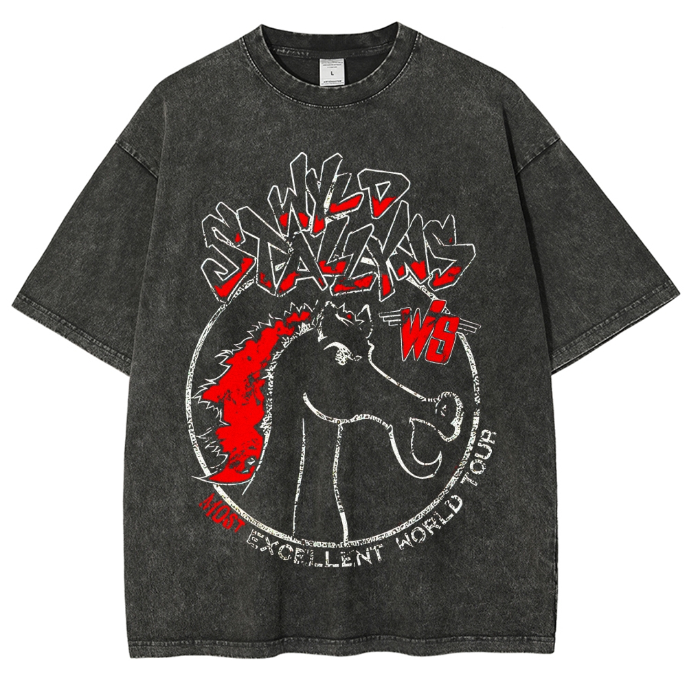Wyld Stallyns World Tour Vintage Washed T-Shirt