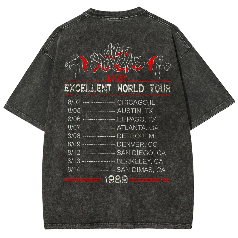 Wyld Stallyns World Tour Vintage Washed T-Shirt