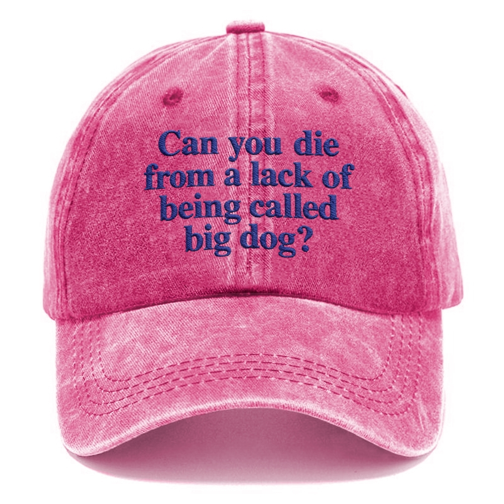 Embroidery Can You Die From A Lack Of Being Called Big Dog  Washed Cap 