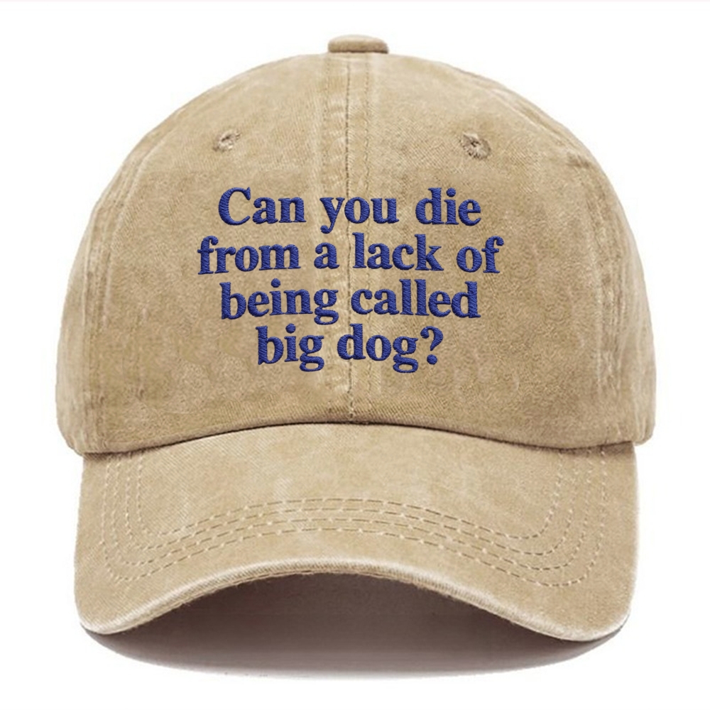 Embroidery Can You Die From A Lack Of Being Called Big Dog  Washed Cap 