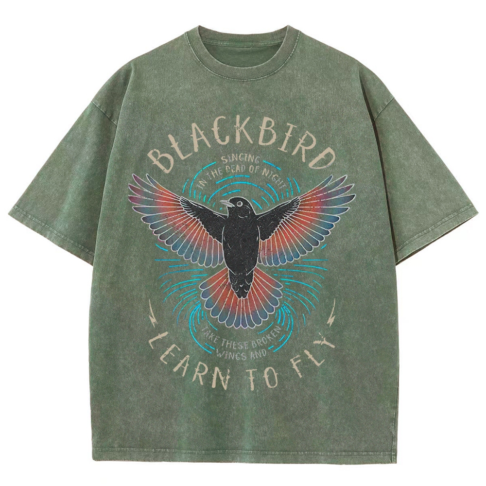Washed T-Shirt 2606005196