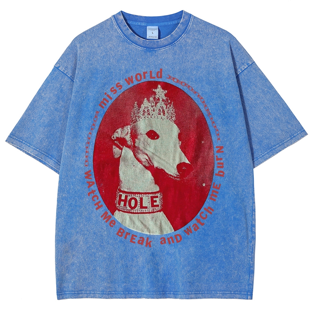Washed T-Shirt 2606005204