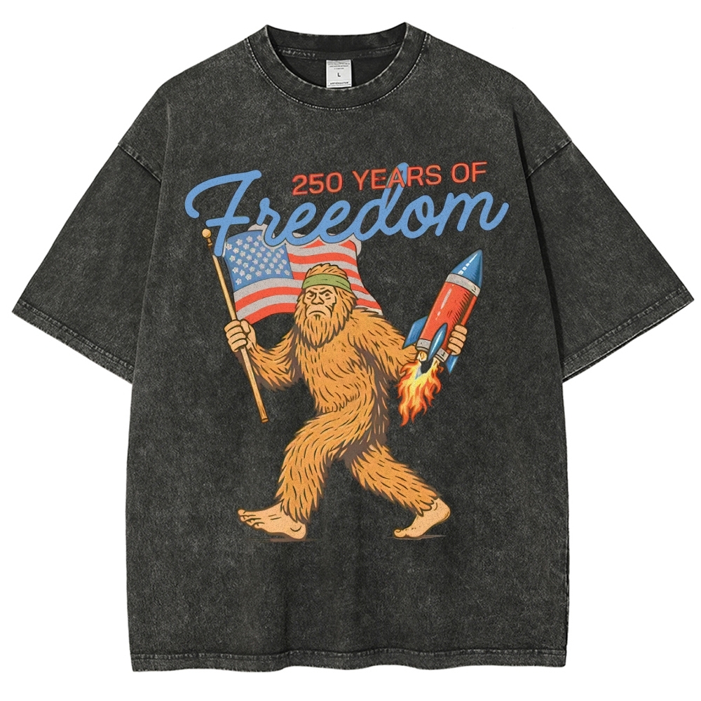 Washed T-Shirt 2606012051