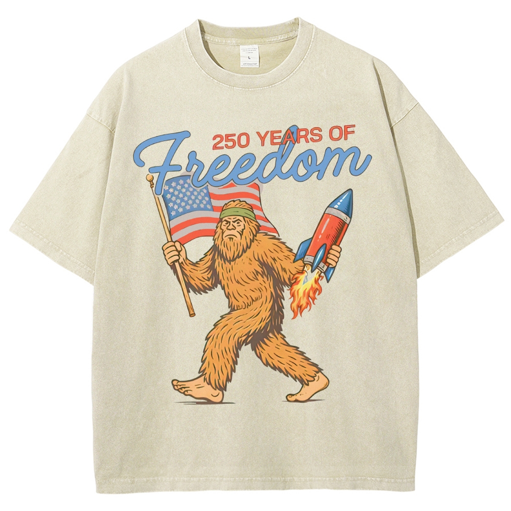 Washed T-Shirt 2606012051