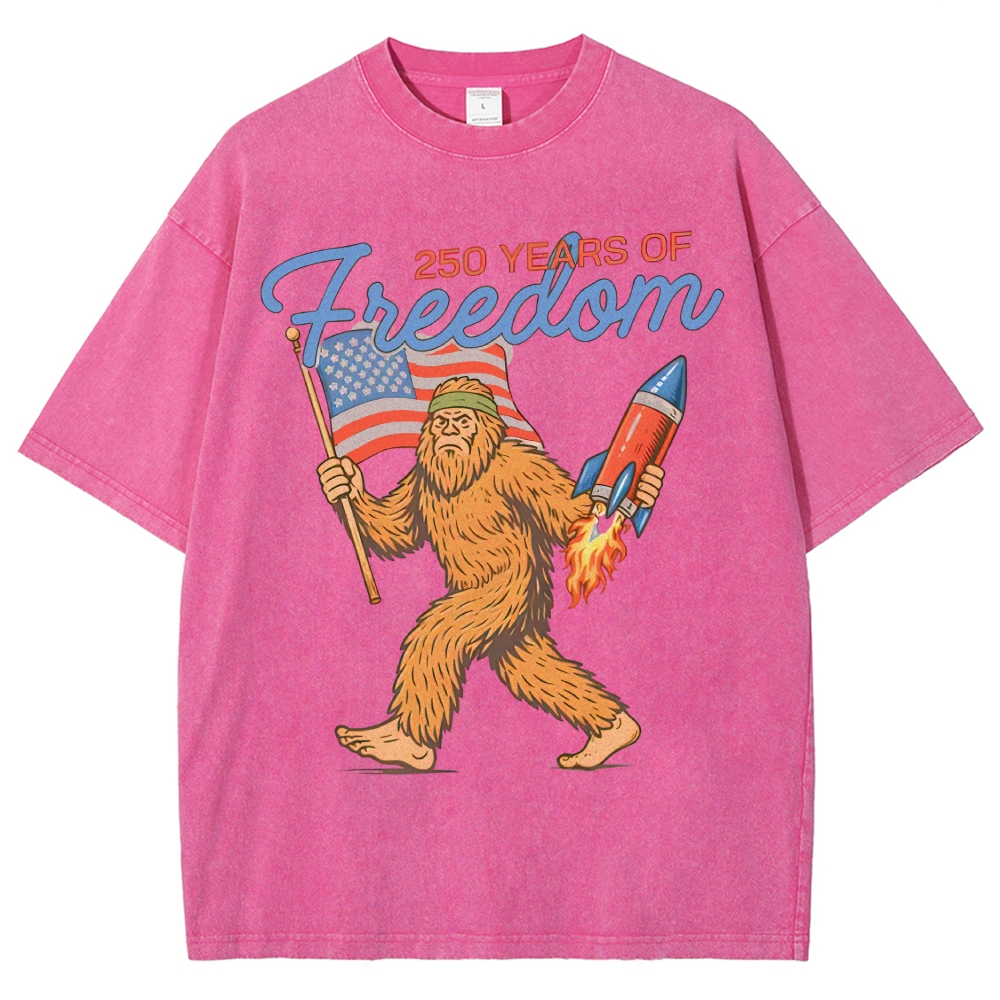 Washed T-Shirt 2606012051