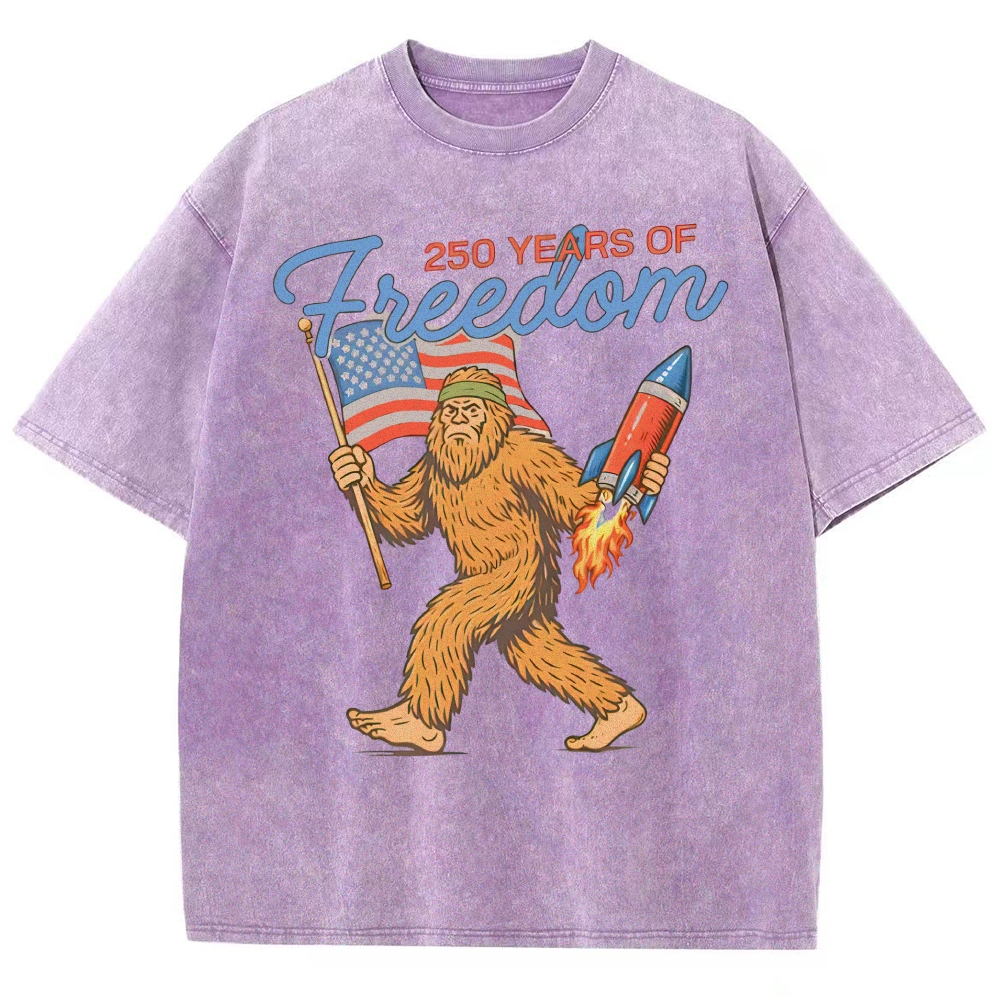 Washed T-Shirt 2606012051