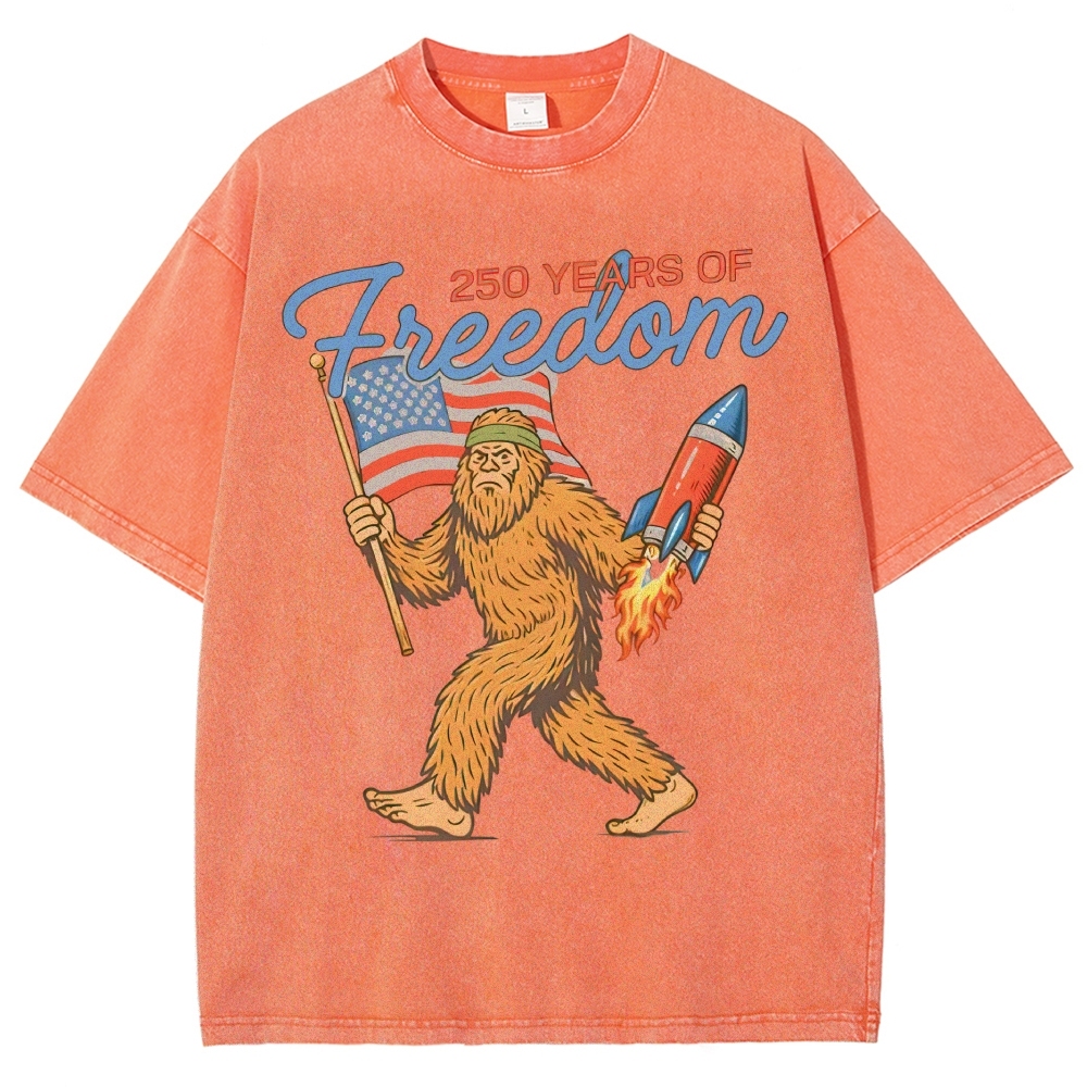 Washed T-Shirt 2606012051