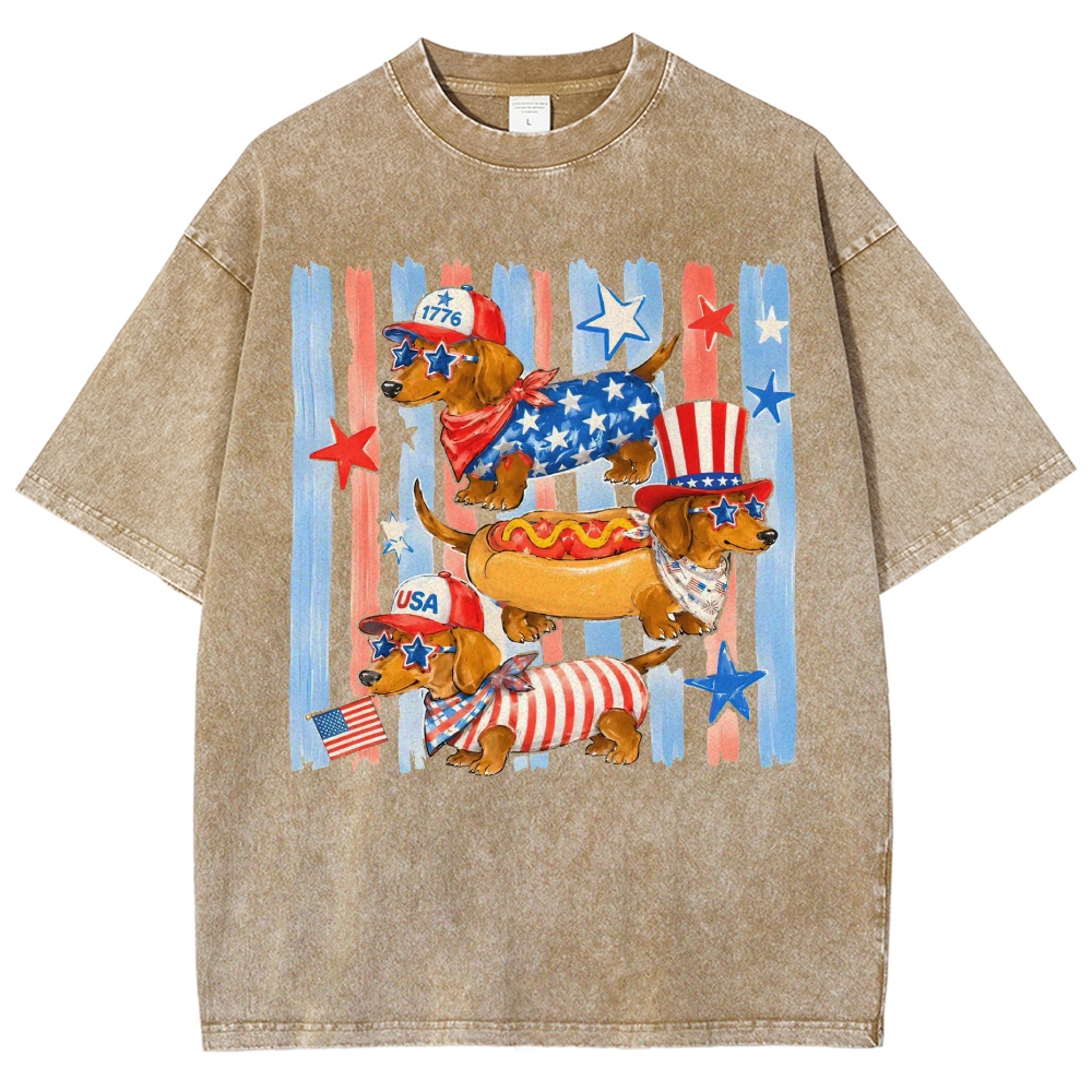 Washed T-Shirt 2606012060
