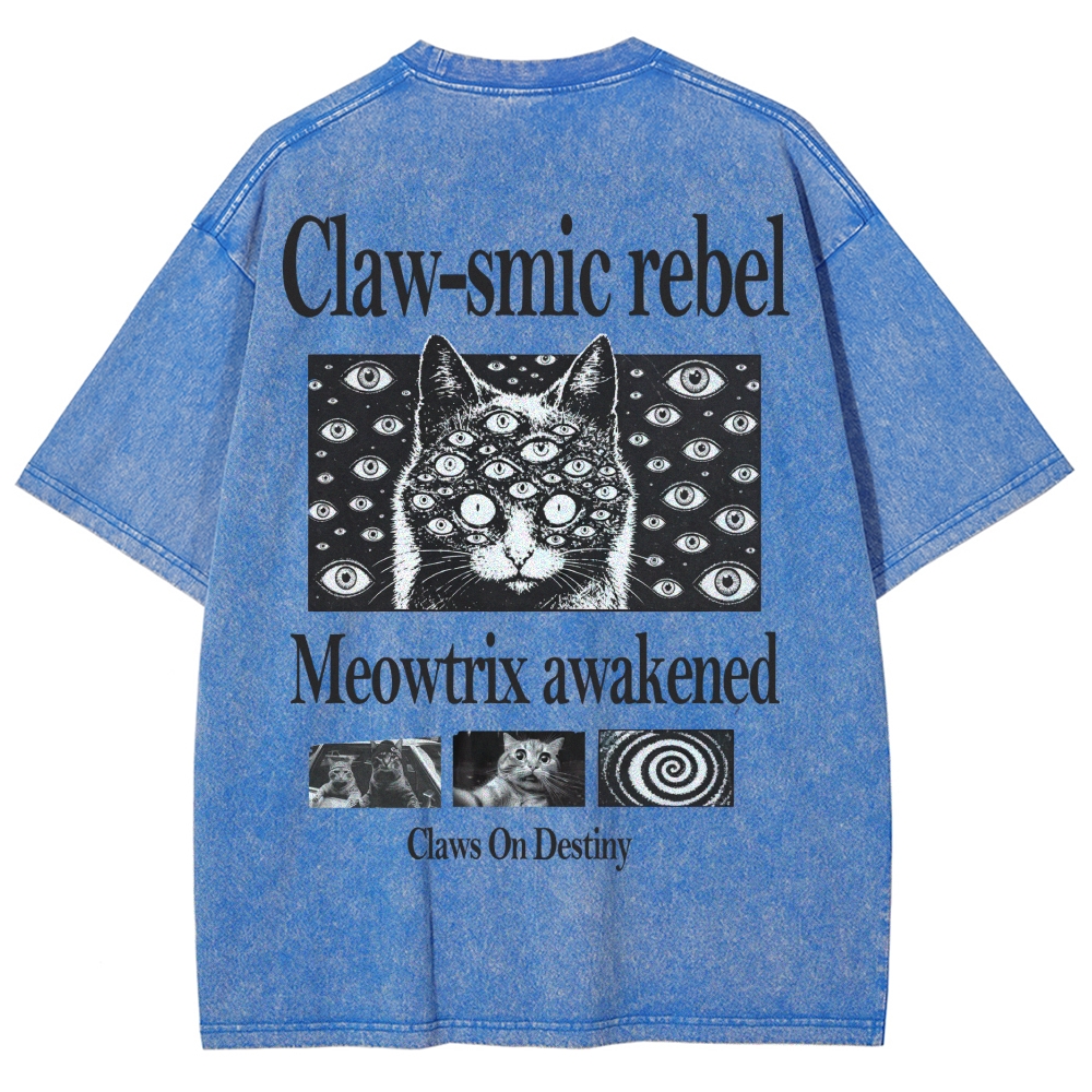 Washed T-Shirt 2606012164