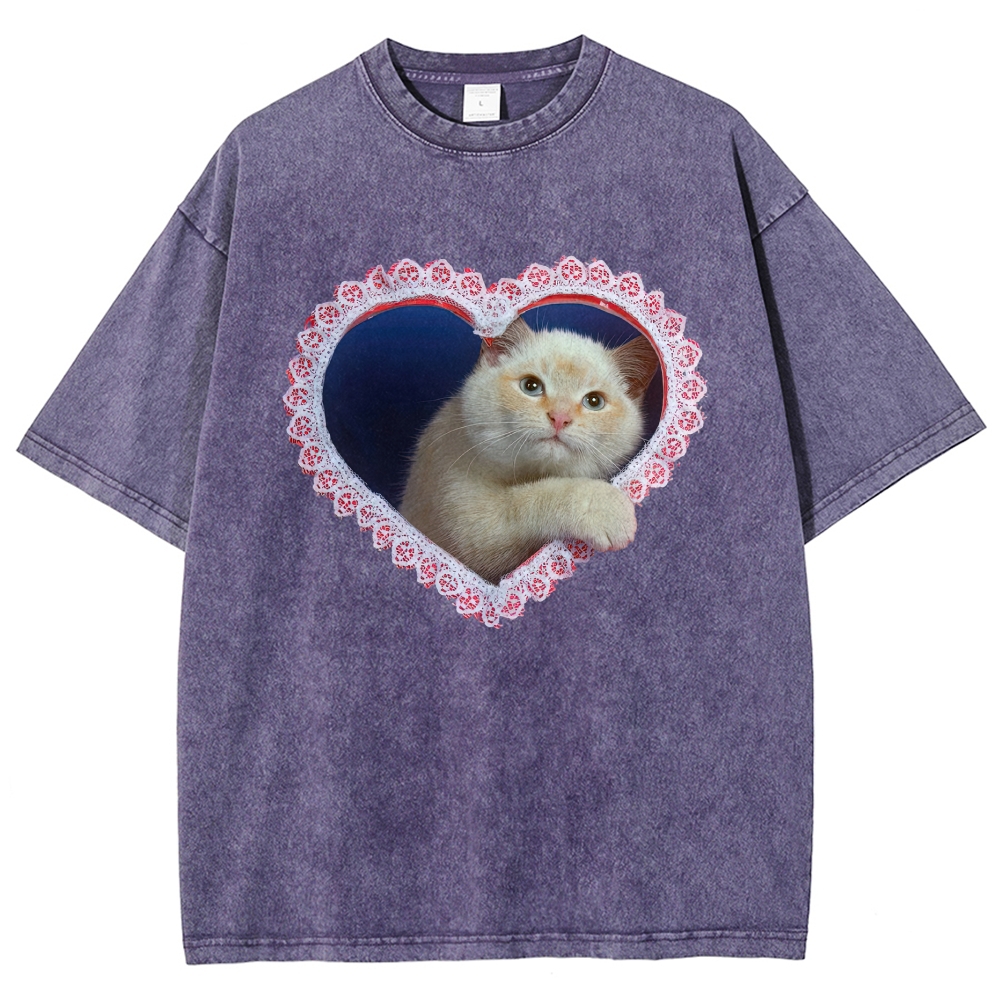 Lace Heart Frame Cream Fluffy Cat Washed T-shirt 