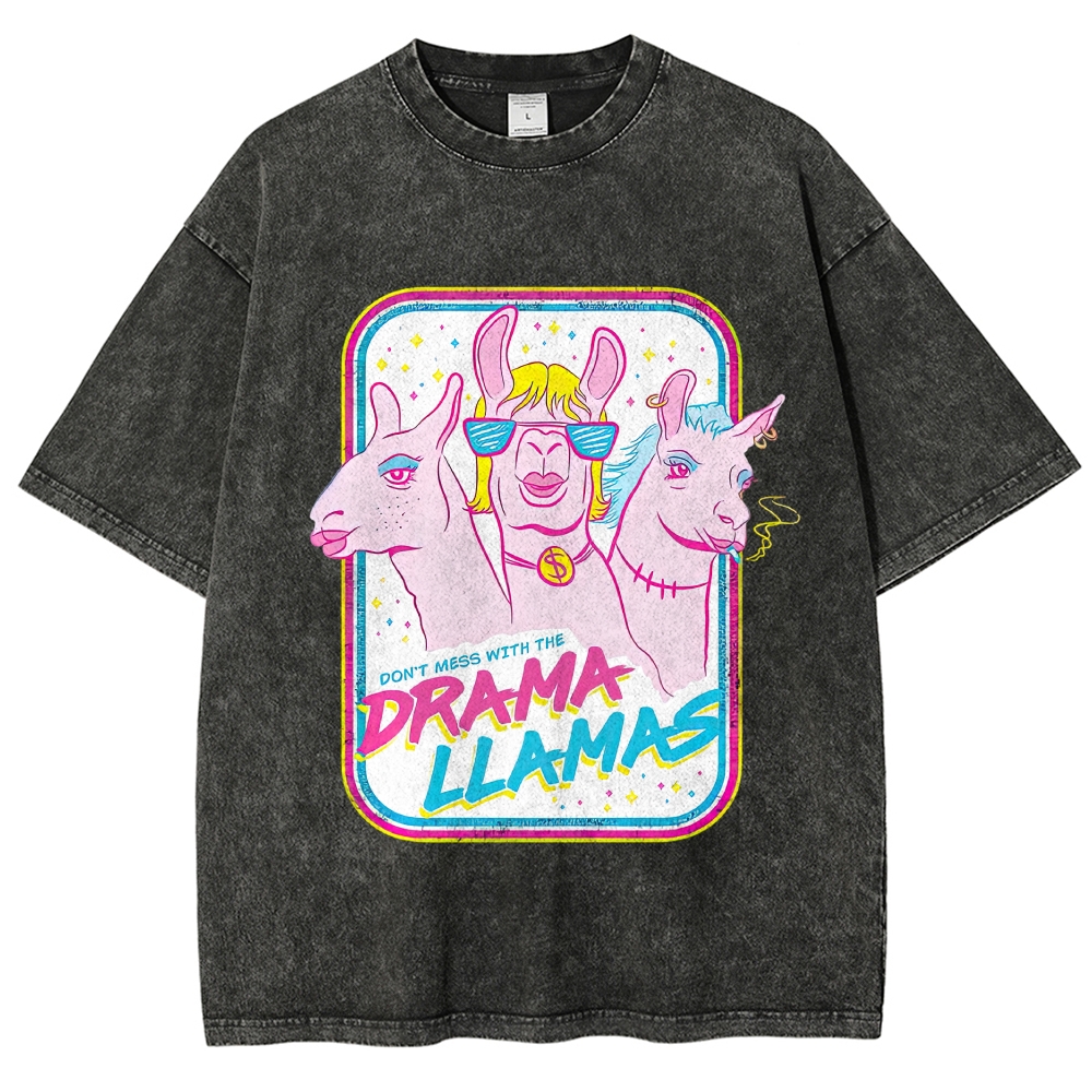 Y2K Neon Pastel Drama Llama Trio Retro Badge Washed T-shirt