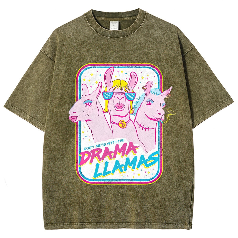 Y2K Neon Pastel Drama Llama Trio Retro Badge Washed T-shirt
